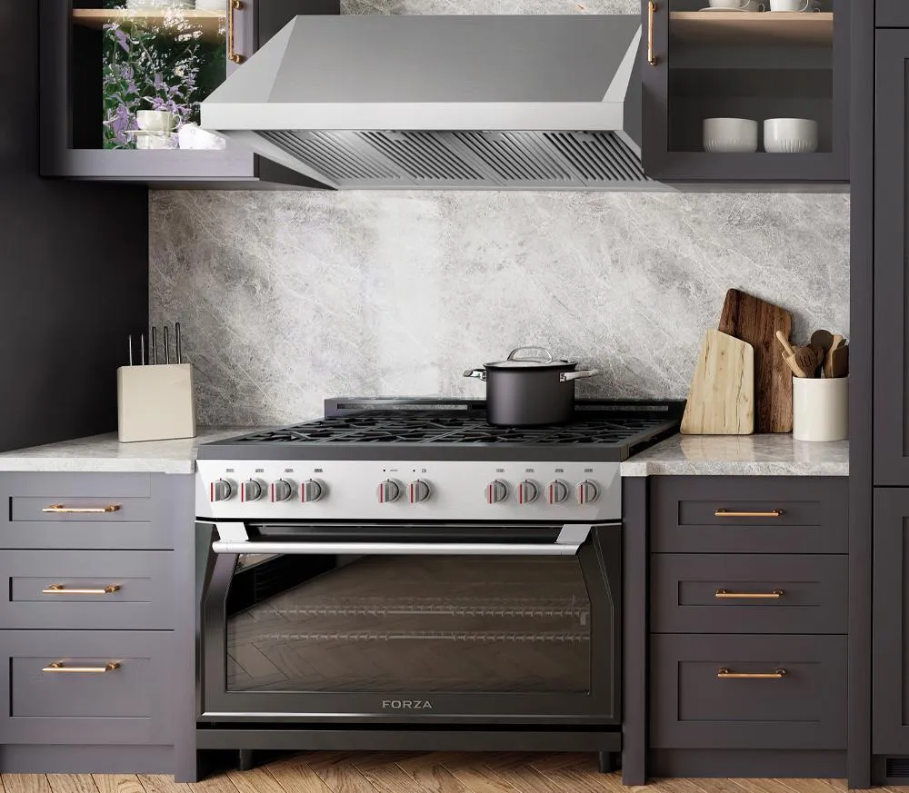 Forzacucina FH4824 48 Inch Professional Wall Mounted Range Hood. 24 Inches Tall