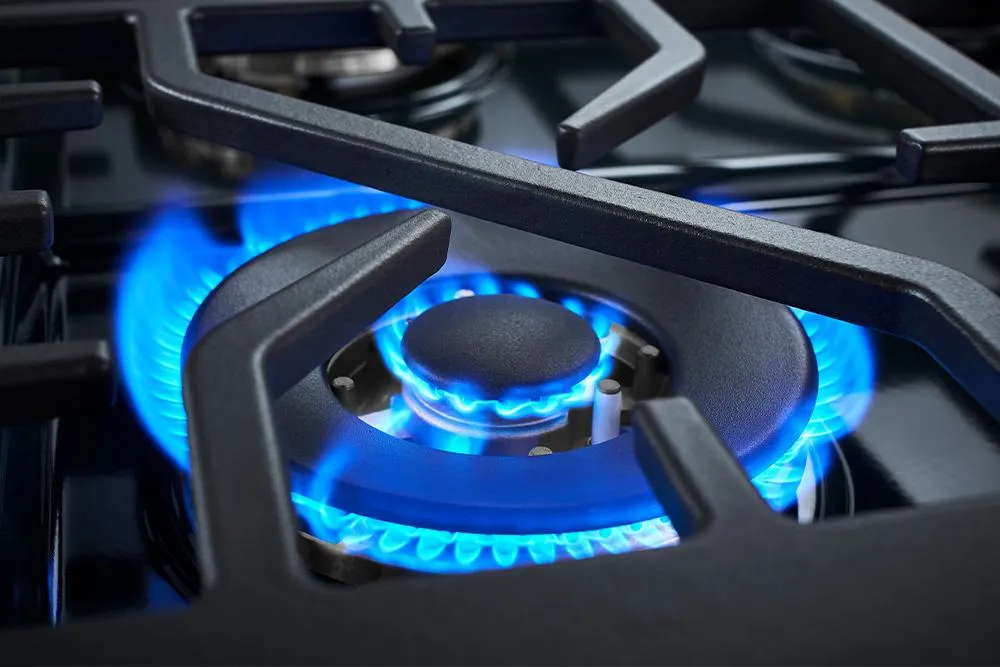 Forzacucina FR366SE 36 Professional Gas Range Se