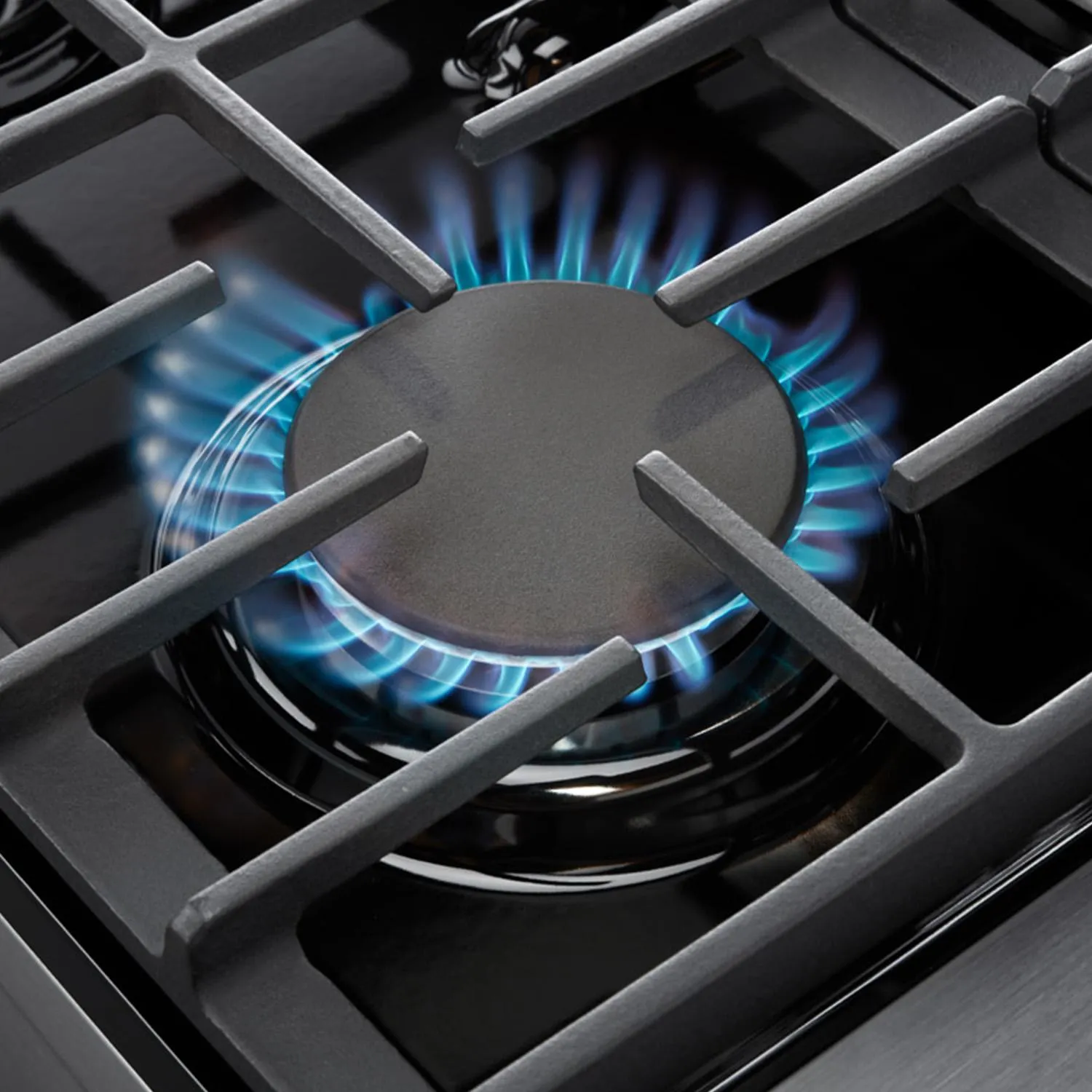 Thor Kitchen LRG4807ULP 48 Inch Gas Range In Stainless Steel - Liquid Propane