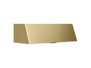 Zephyr DMEE48ASGX 48 Mesa Wall  Blower Sold Separately